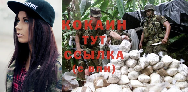 дживик Новодвинск