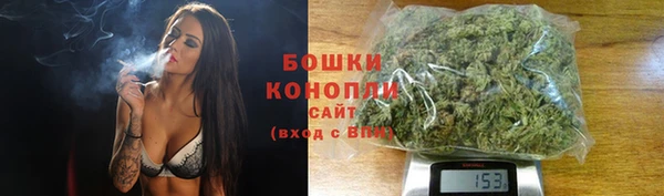 дживик Новодвинск
