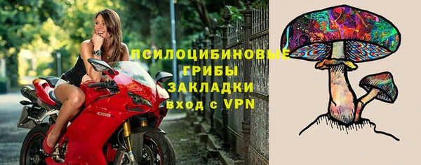 дживик Новодвинск
