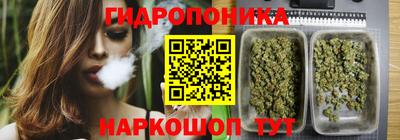 каннабис Аргун