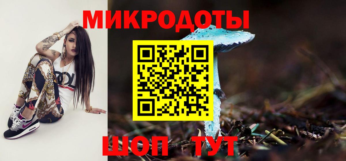 Балаково  Галлюциногенные грибы Cubensis  Вход с VPN 