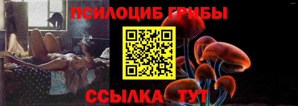 Галлюциногенные грибы Psilocybe Балаково
